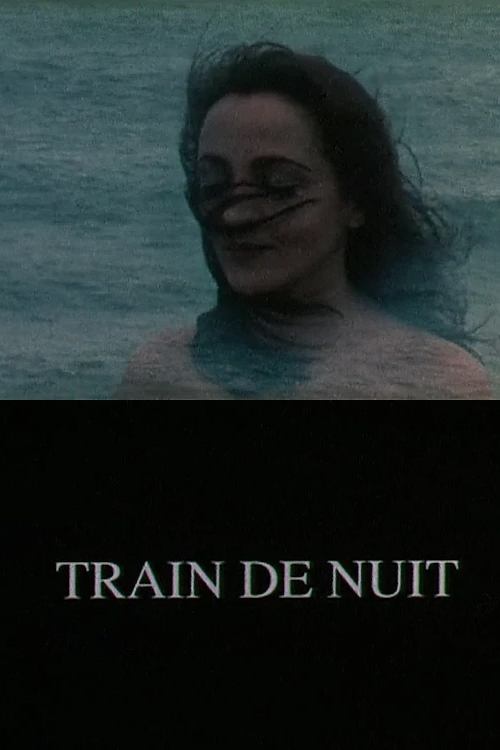 Постер Train de nuit